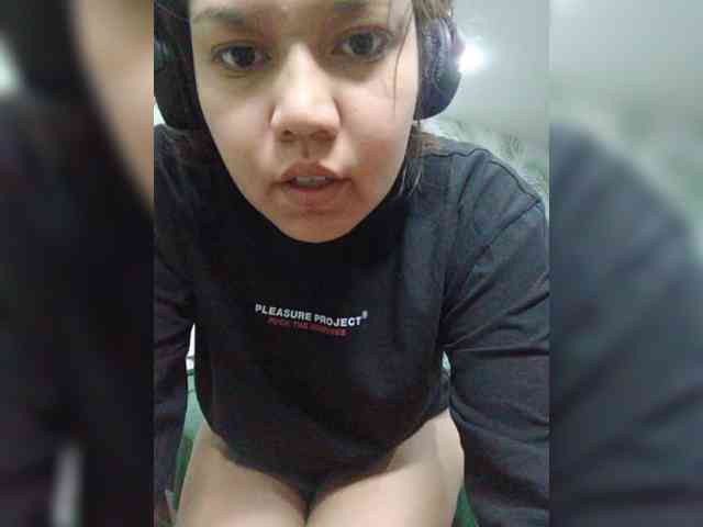 Geritsme webcam