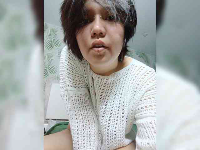 Geritsme webcam
