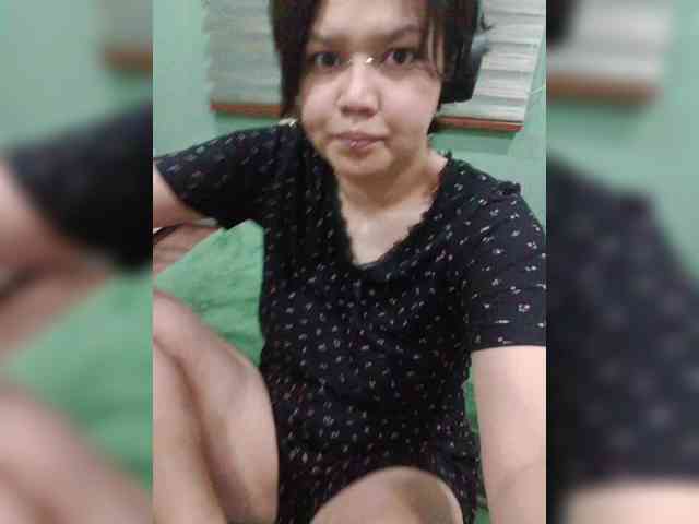 Geritsme webcam