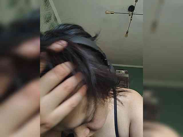 Geritsme webcam