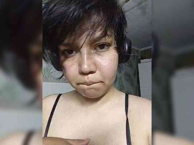Geritsme webcam