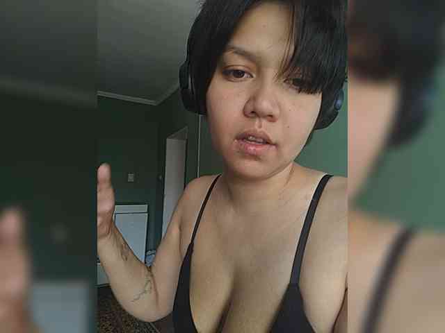 Geritsme webcam