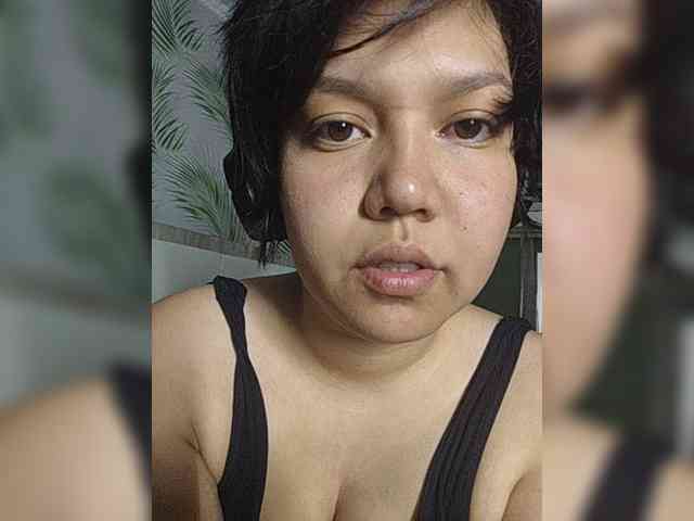 Geritsme webcam