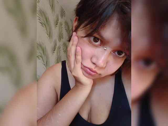Geritsme webcam