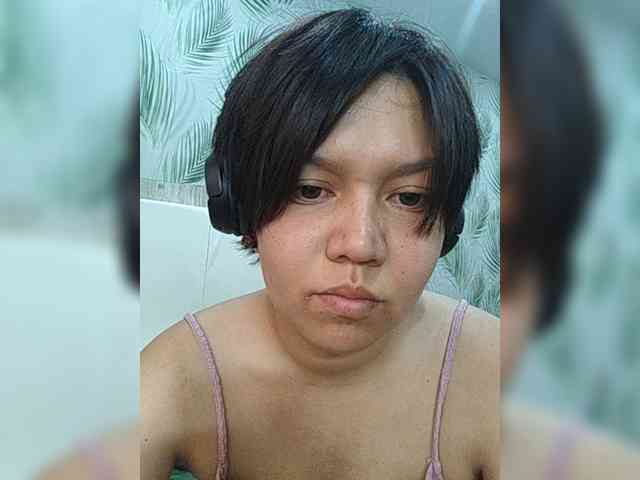 Geritsme webcam