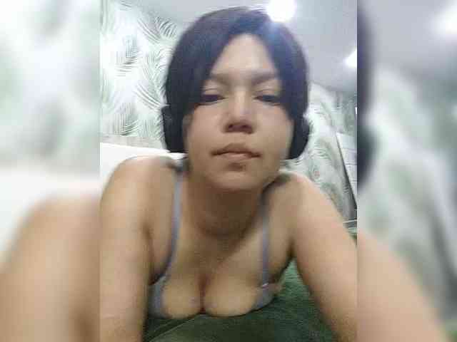 Geritsme webcam