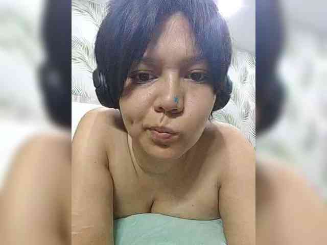 Geritsme webcam