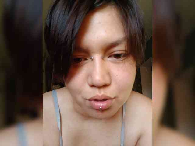 Geritsme webcam