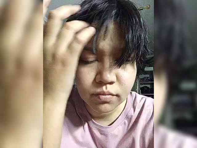 Geritsme webcam