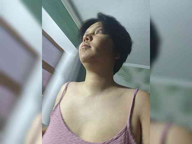 Geritsme webcam