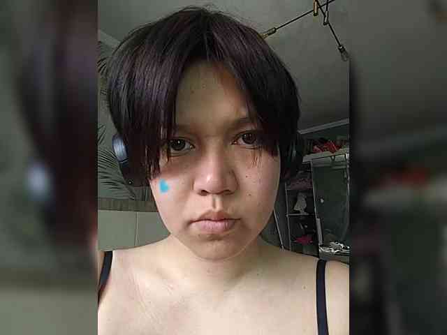 Geritsme webcam