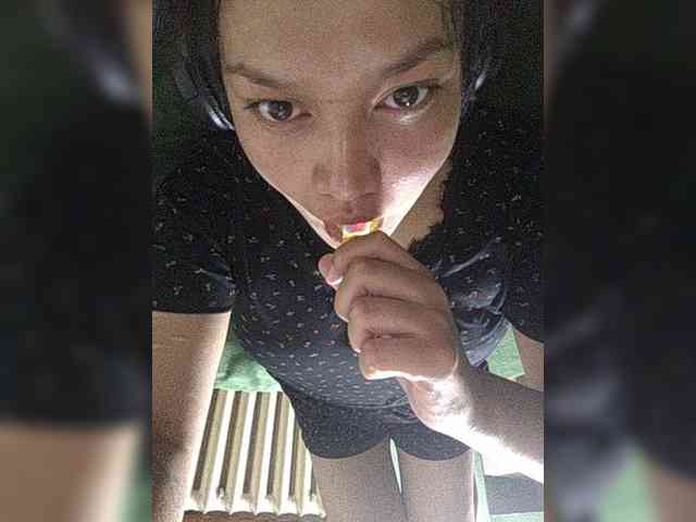 Geritsme webcam