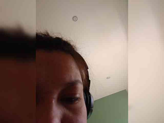 Geritsme webcam
