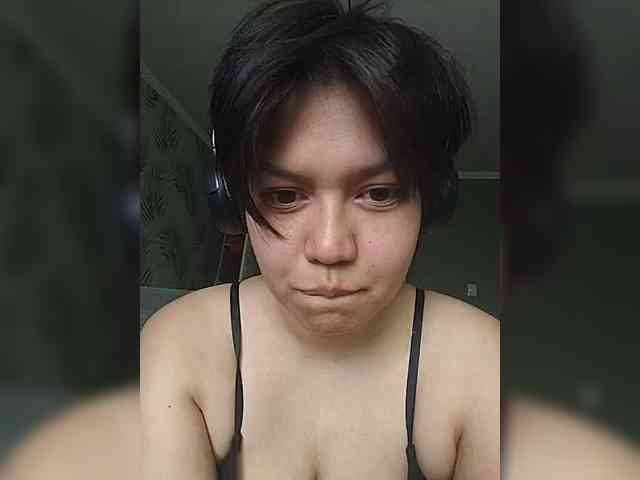 Geritsme webcam