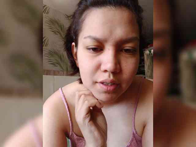 Geritsme webcam