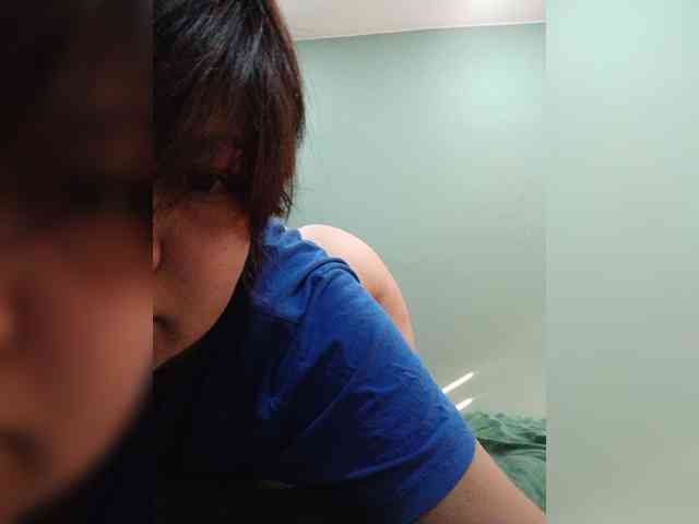 Geritsme webcam