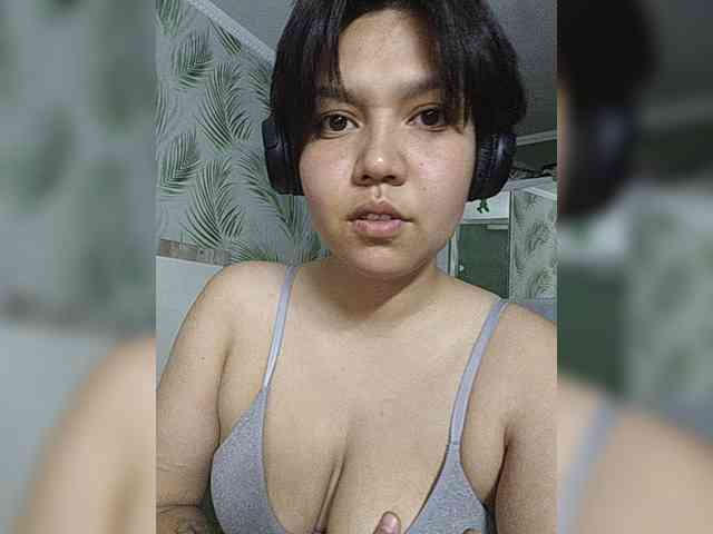 Geritsme webcam
