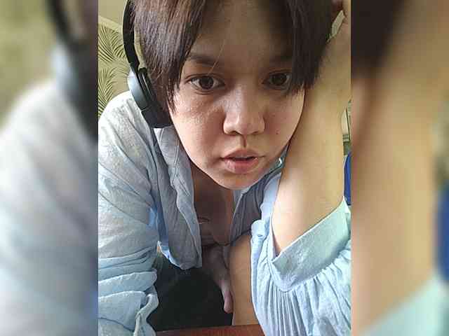 Geritsme webcam