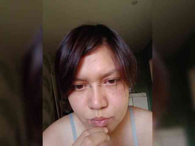 Geritsme webcam