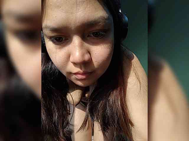 Geritsme webcam