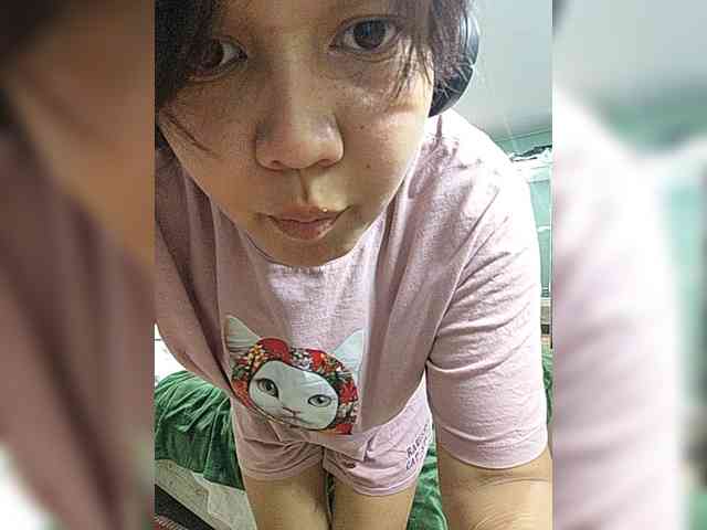 Geritsme webcam