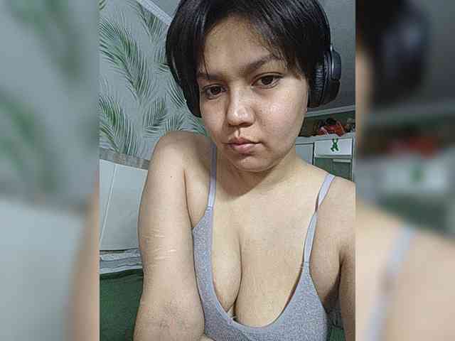 Geritsme webcam