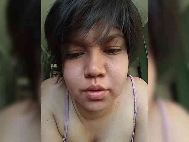 Geritsme webcam