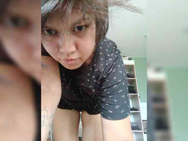 Geritsme webcam