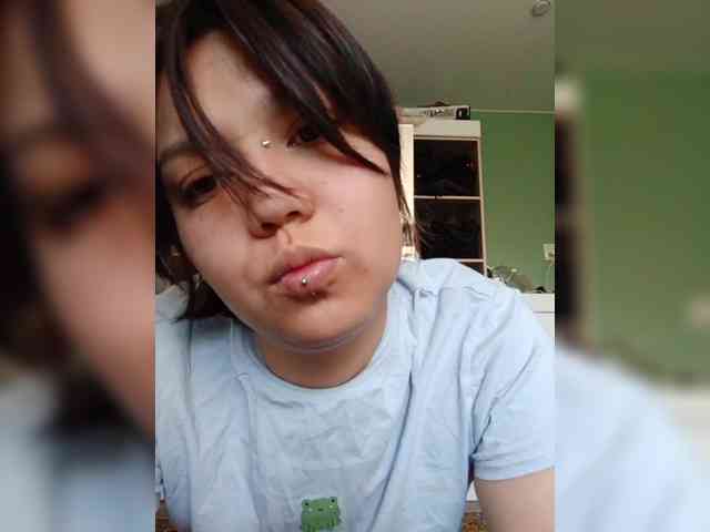 Geritsme webcam