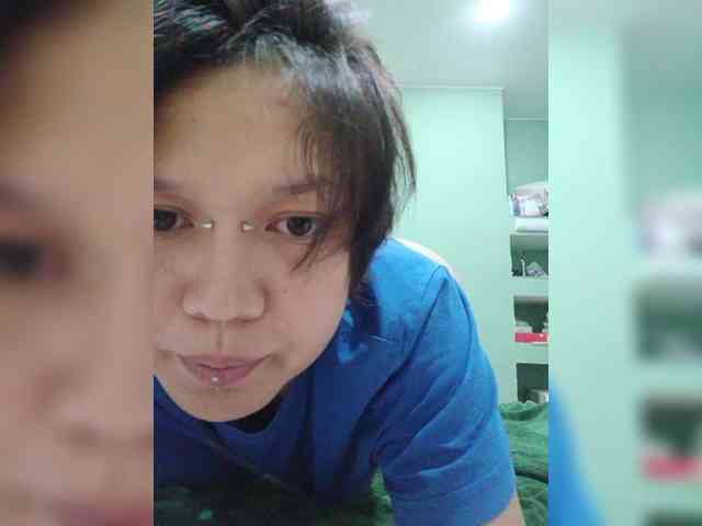 Geritsme webcam