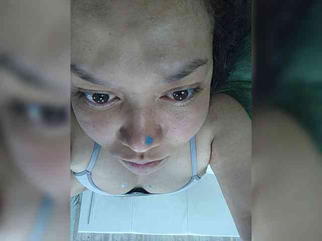 Geritsme webcam