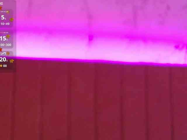 PinkySparkss