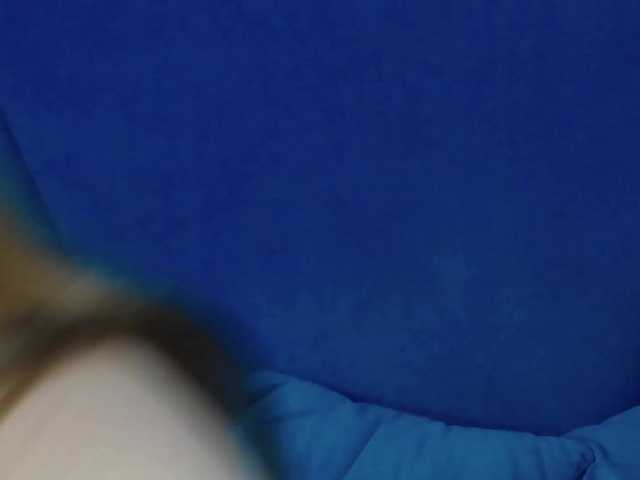 Evelisse live cam on BongaCams