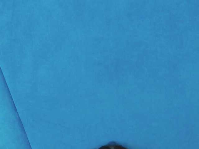 Evelisse live cam on BongaCams