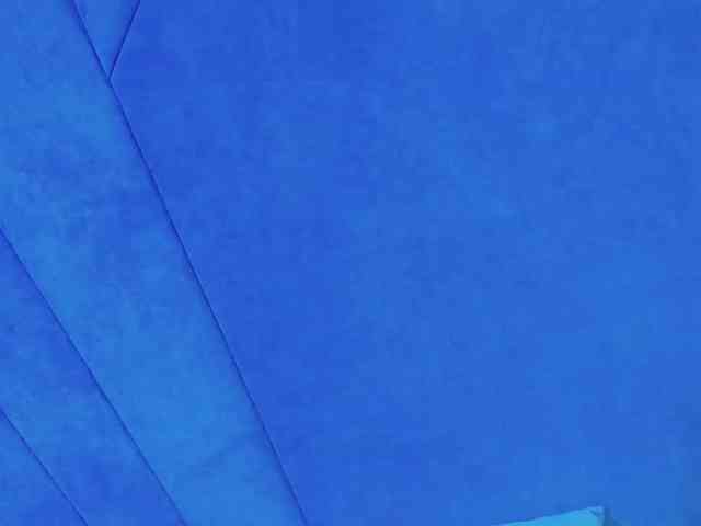 Evelisse webcam