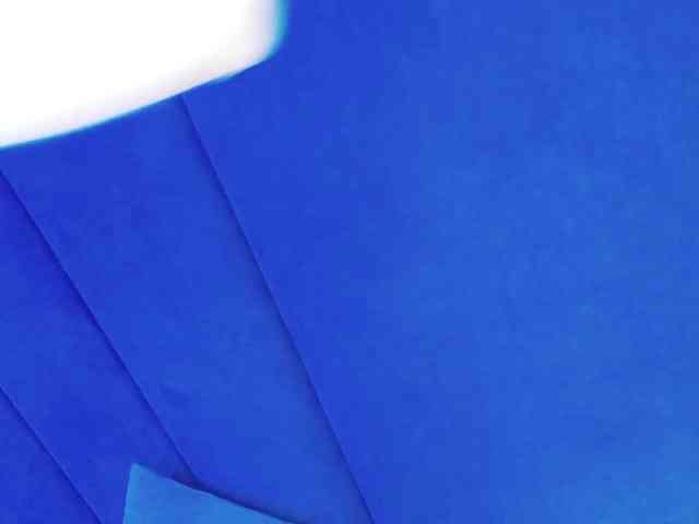 Evelisse webcam
