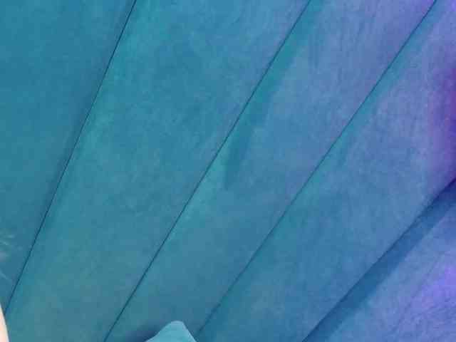 Evelisse webcam
