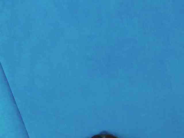 Evelisse