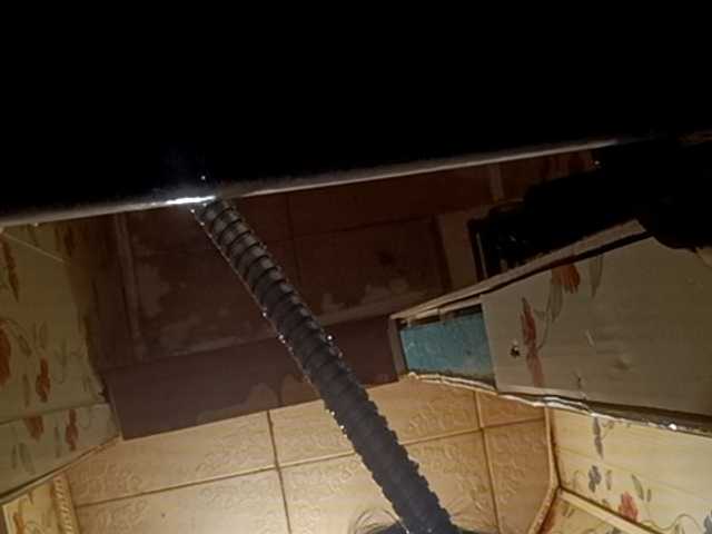 Bipara1