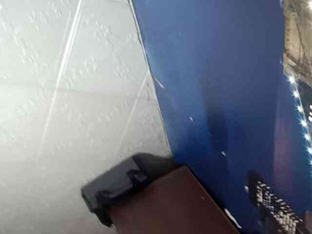 Bipara1 webcam