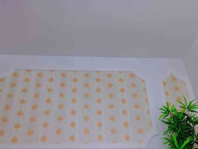 AleshaArabic webcam