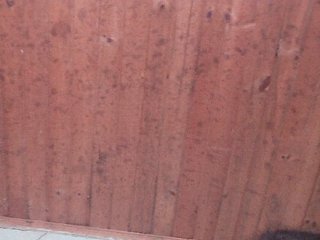 Live User Thumb