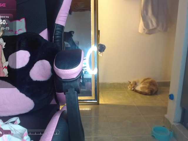 coraline1 live cam on UnifiedCams
