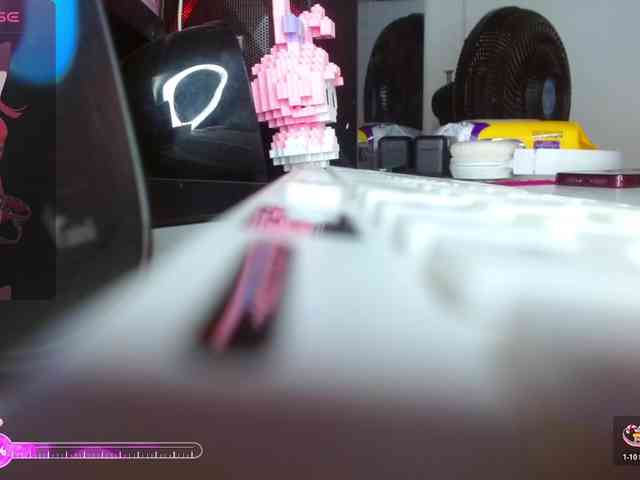 coraline1 webcam