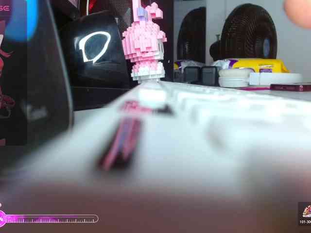 coraline1 webcam