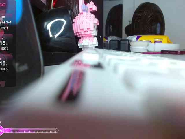coraline1 webcam