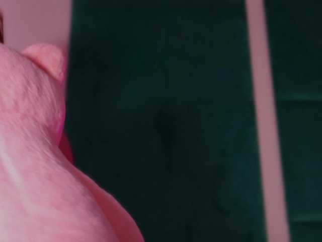 LucyLexton live cam on BongaCams