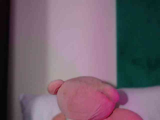 LucyLexton webcam