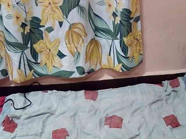 Koushy webcam