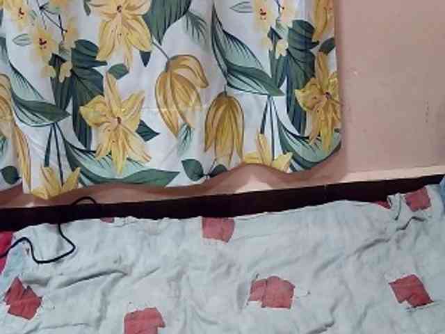 Koushy webcam